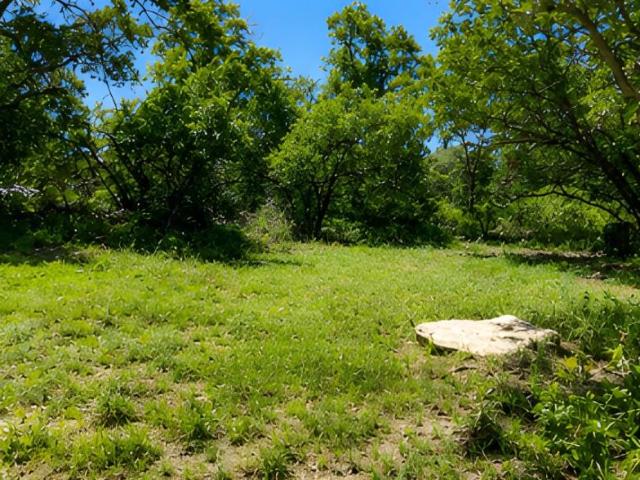 Land for sale in Brownwood, Texas