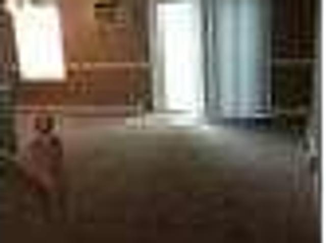House for rent in Boardman, Mahoning County