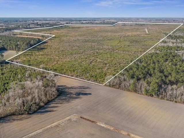 Land for sale in Rose Hill, North Carolina