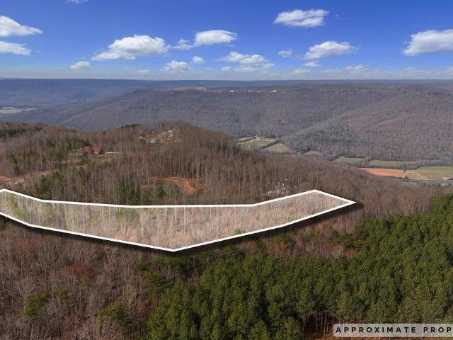 Land for sale in Tennessee