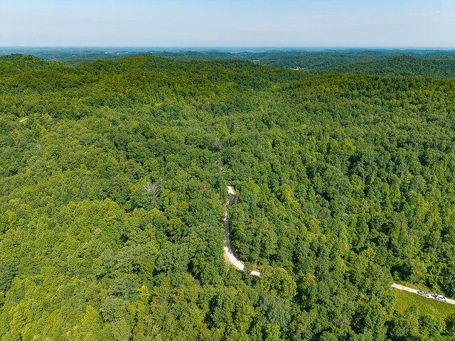 Farm for sale in Hitchins, Kentucky
