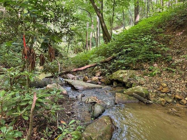 Land for sale in Sylva, North Carolina