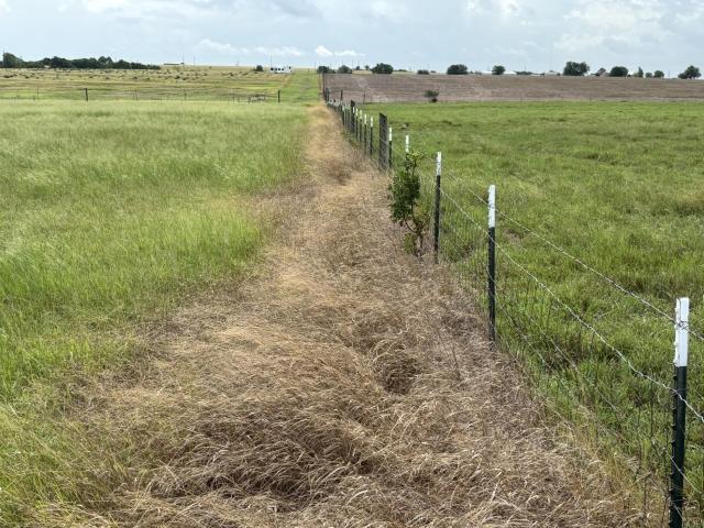 Farm for sale in Williamson, Texas