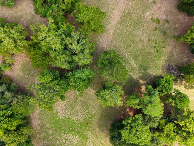 Farm for sale in Woodville, Tyler County