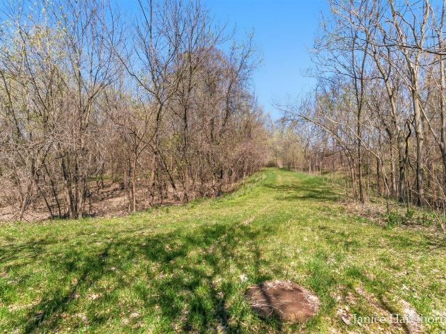 Land for sale in Hastings, Michigan