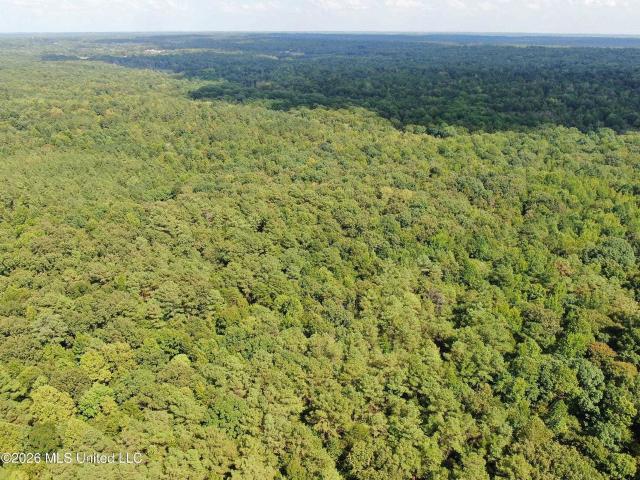 Land for sale in Hannah, Bolivar