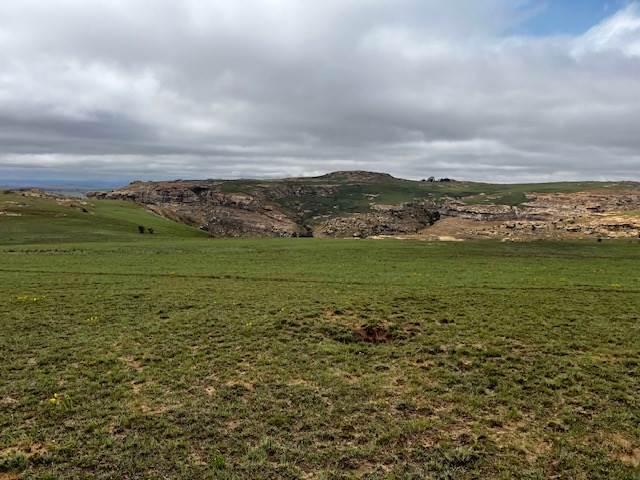 Farm for sale in Harrismith, Free State