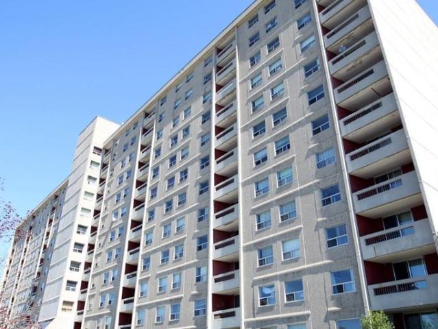 Apartment for rent in Arva, Ontario