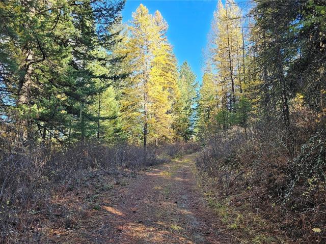 Land for sale in Colville, Stevens County