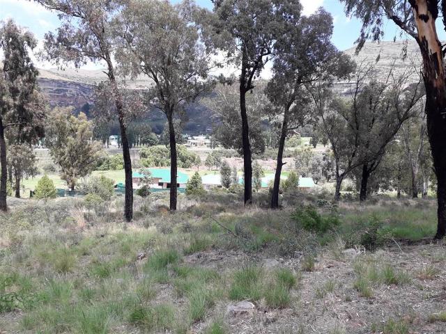 Land for sale in Rosendal, Free State