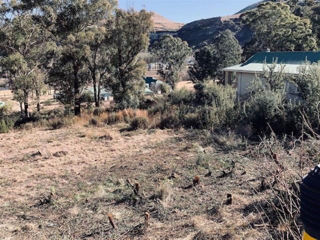 Land for sale in Rosendal, Free State