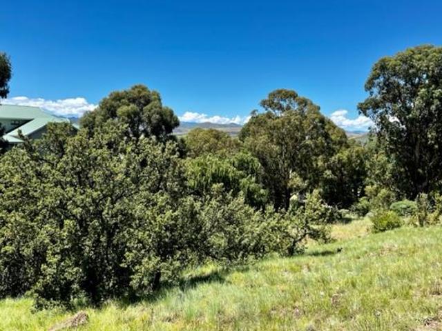 Land for sale in Rosendal, Free State