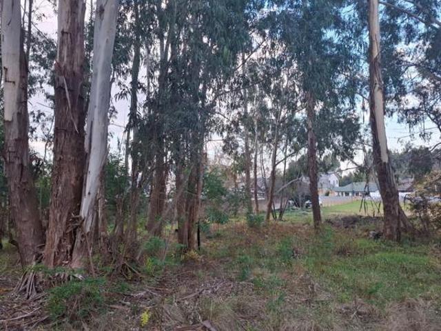 Land for sale in Dullstroom, Mpumalanga