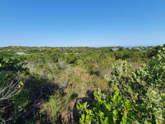 Land for sale in Eastern Cape