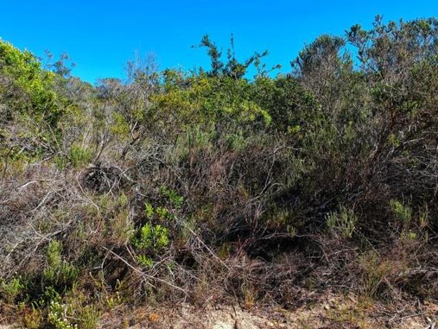 Land for sale in Eastern Cape