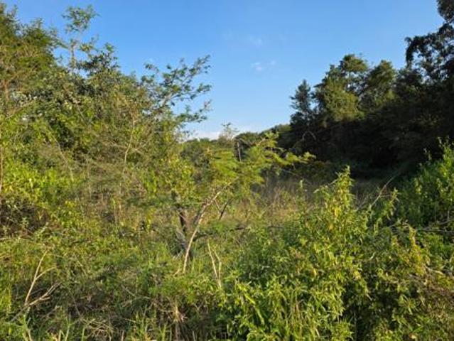 Land for sale in Ehlanzeni, Mpumalanga