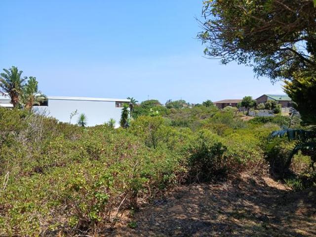 Land for sale in Cape St Francis, Eastern Cape