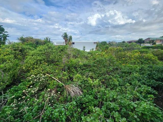 Land for sale in Cape St Francis, Eastern Cape