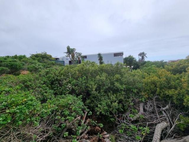 Land for sale in Cape St Francis, Eastern Cape