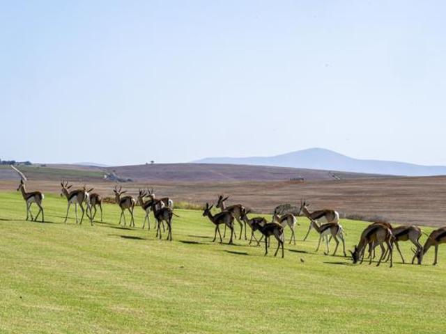 Land for sale in Western Cape
