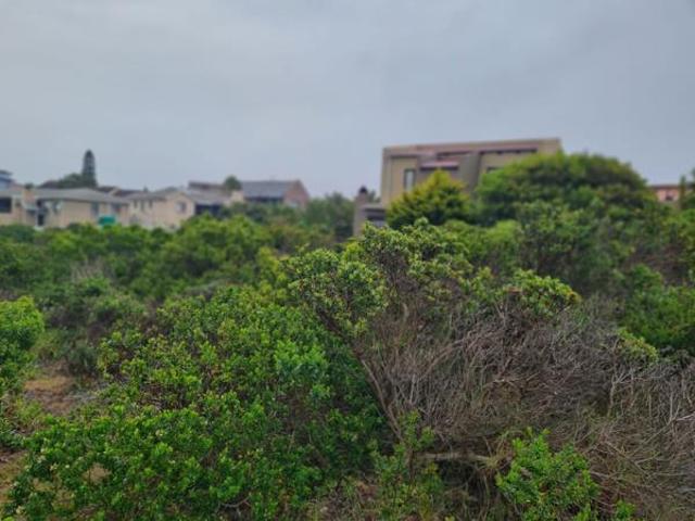 Land for sale in Cape St Francis, Eastern Cape