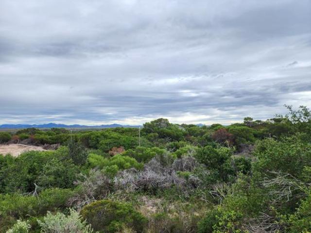 Land for sale in Cape St Francis, Eastern Cape