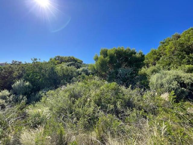 Land for sale in Cape St Francis, Eastern Cape