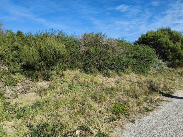 Land for sale in Cape St Francis, Eastern Cape