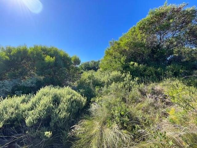 Land for sale in Cape St Francis, Eastern Cape