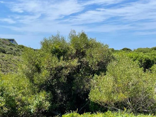Land for sale in Cape St Francis, Eastern Cape