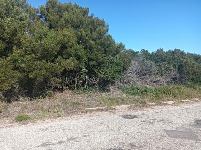 Land for sale in Cape St Francis, Eastern Cape