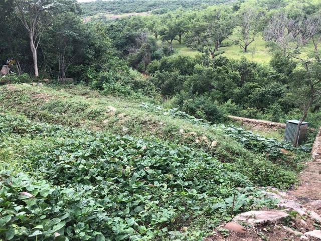Land for sale in Ehlanzeni, Mpumalanga
