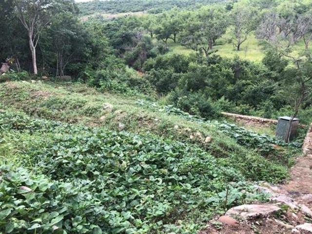 Land for sale in Ehlanzeni, Mpumalanga