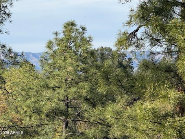 Land for sale in Payson, Gila County