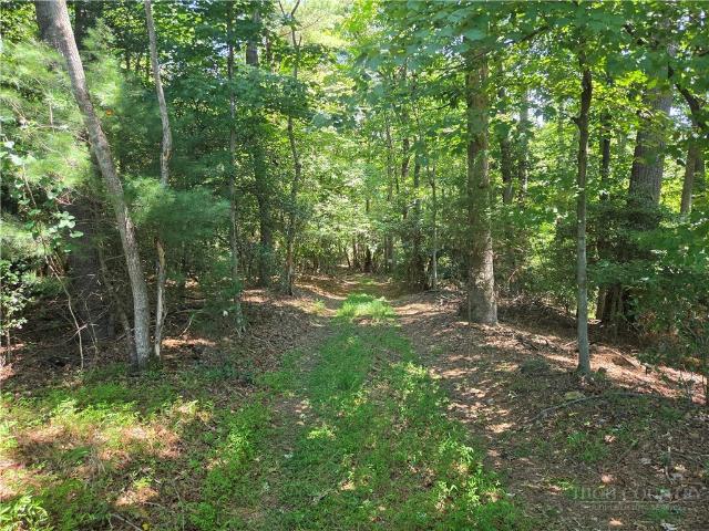 Land for sale in Millers Creek, North Carolina