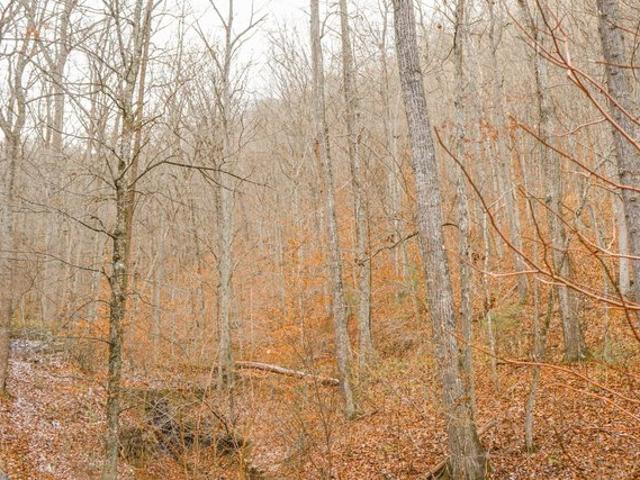 Land for sale in White Sulphur Springs, West Virginia