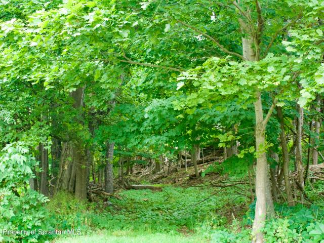 Land for sale in Montrose, Pennsylvania