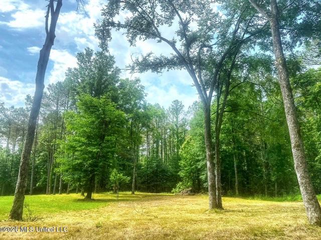 Land for sale in Lexington, Mississippi