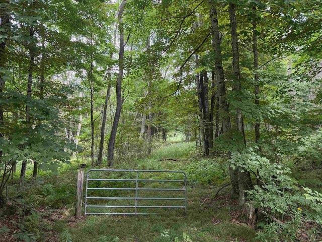 Land for sale in Vermont