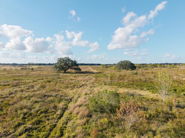 Land for sale in Texas