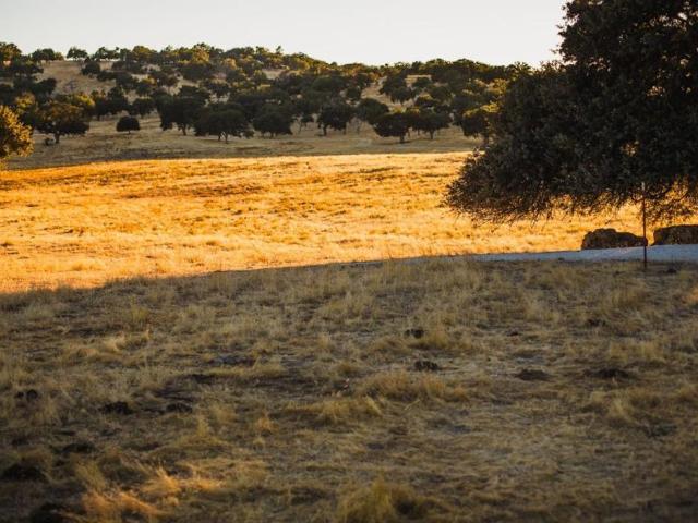 Land for sale in California