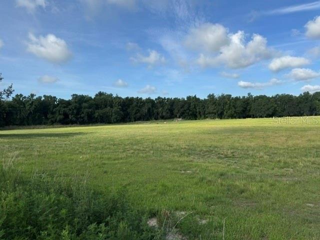 Land for sale in Fort Meade, Polk County