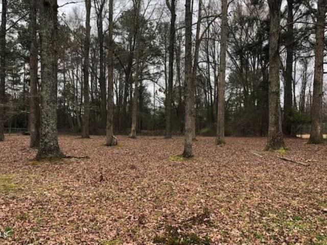Land for sale in Tarboro, North Carolina
