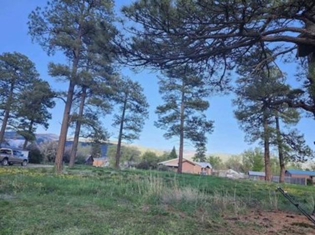 Land for sale in Chama, New Mexico