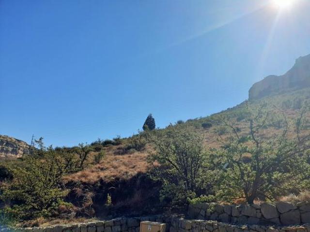 Land for sale in Rosendal, Free State