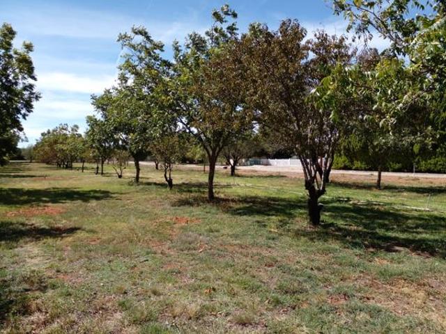 Land for sale in Hopetown, Northern Cape