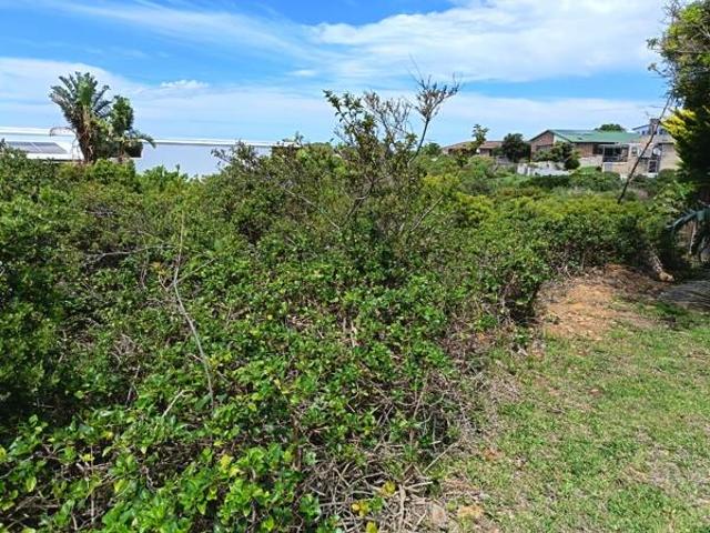 Land for sale in Cape St Francis, Eastern Cape