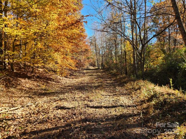 Land for sale in Wilkesboro, North Carolina