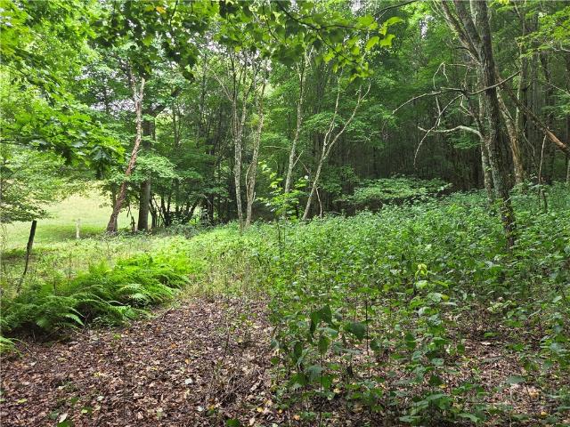 Land for sale in Matney, Banner Elk
