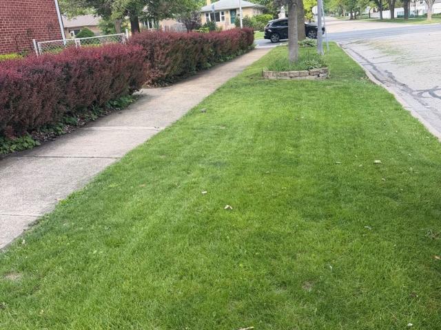 House for sale in La Grange, Illinois